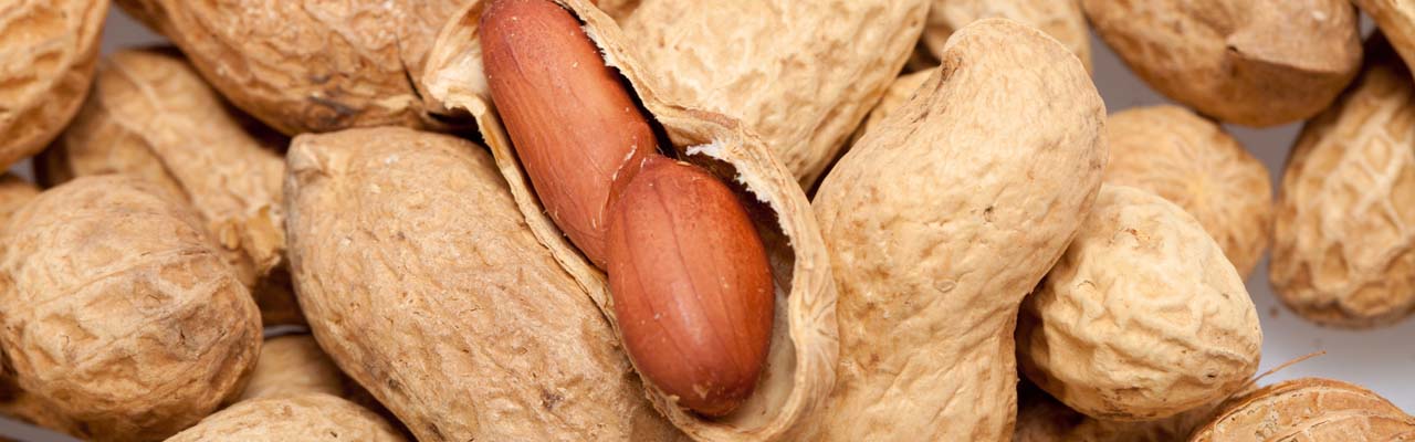 Erdnüsse